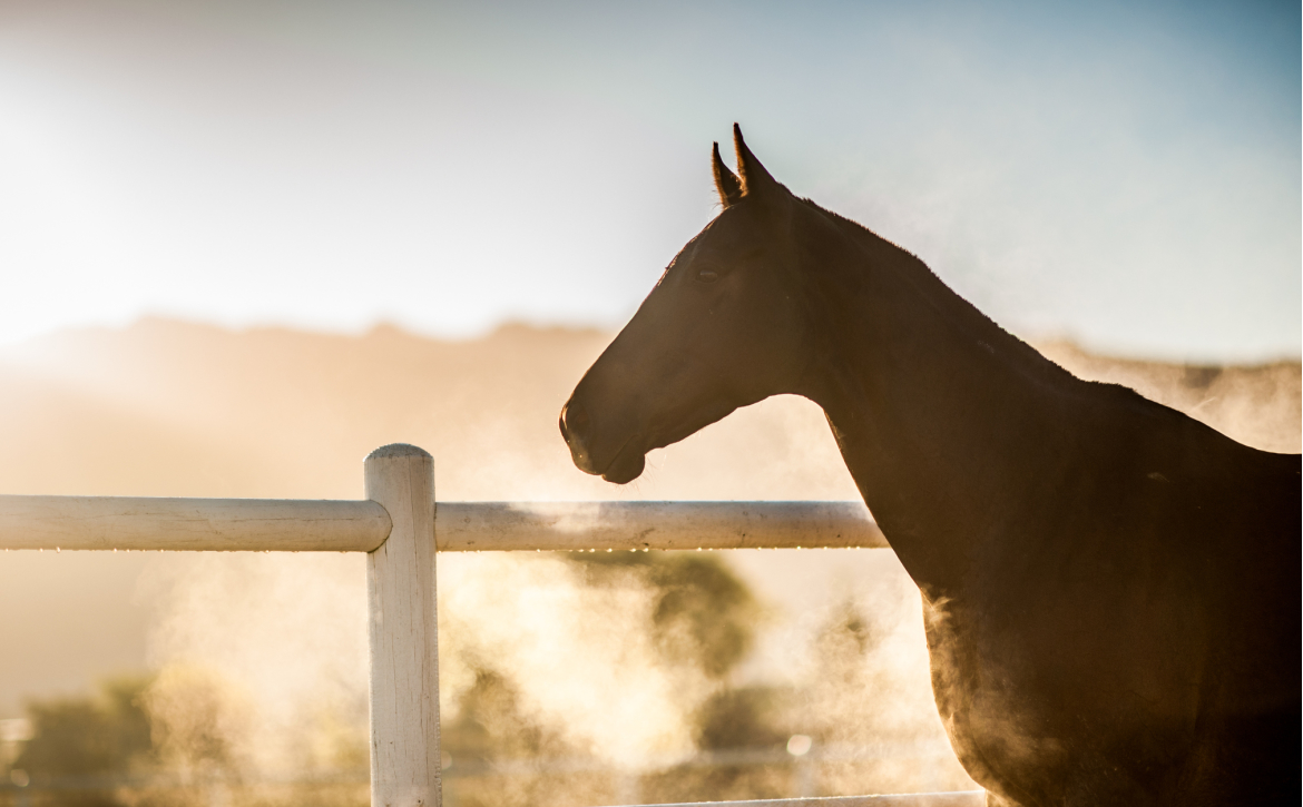 Reprieve from APRA for Religious Charitable Development Funds