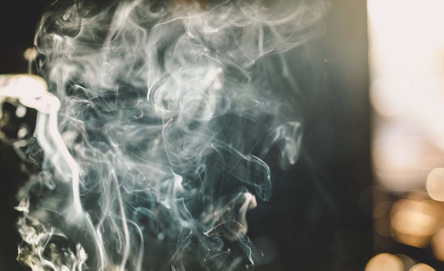 Director and Manager Liability for Customs Duty on Stolen Cigarettes